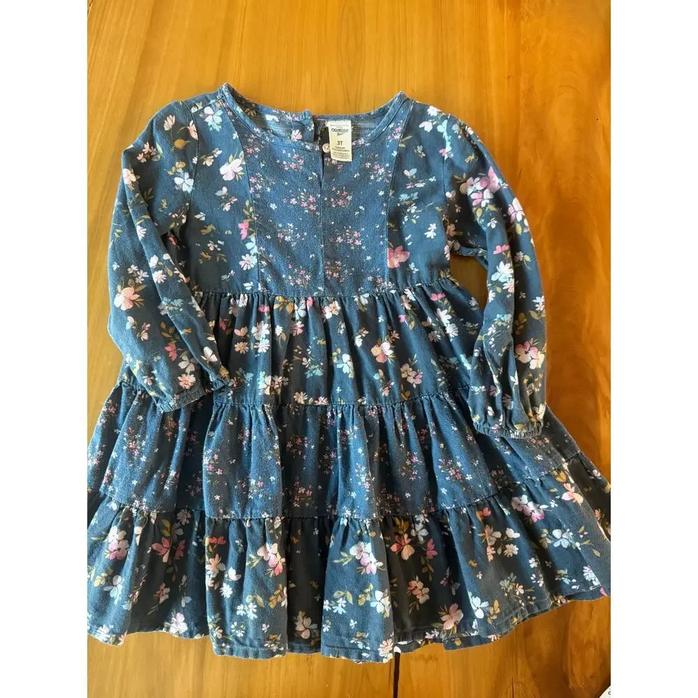 Lot of 3 Girls Dresses 2t 3t Chambray Gingham Floral
